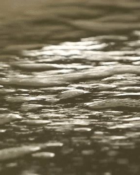 سطح آب تانک پرورش در سالن نرسری
